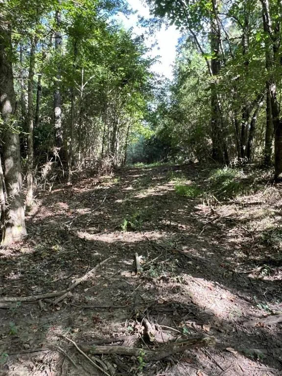 County Road 168-1 Long Branch, TX 75669