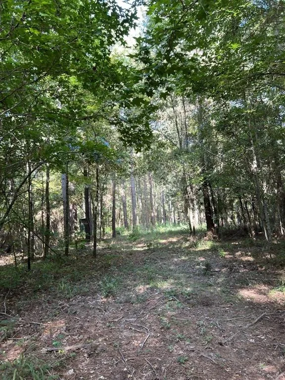 County Road 168-1 Long Branch, TX 75669