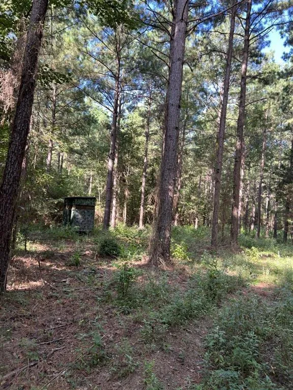 County Road 168-1 Long Branch, TX 75669