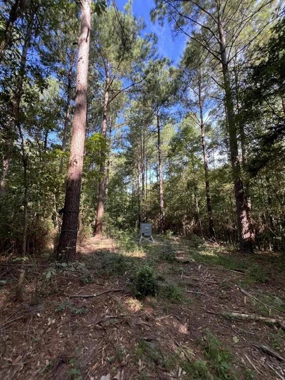 County Road 168-1 Long Branch, TX 75669