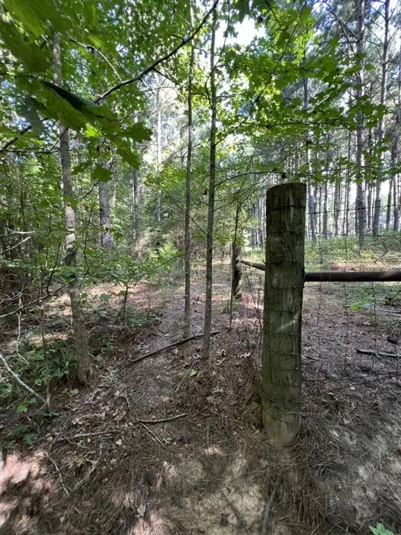 County Road 168-1 Long Branch, TX 75669
