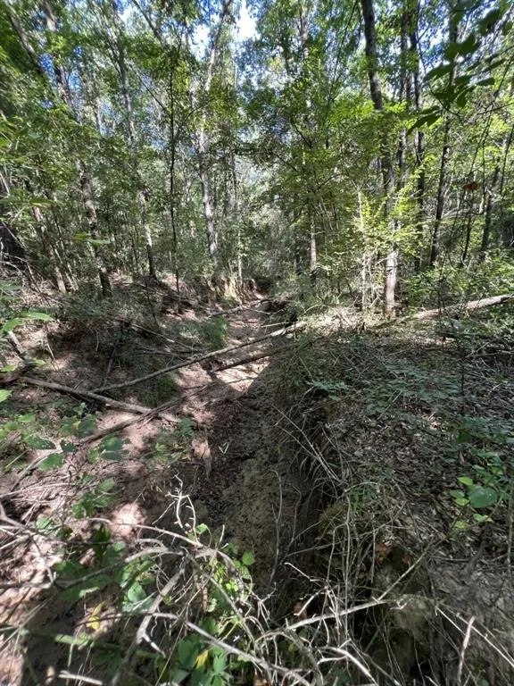County Road 168-1 Long Branch, TX 75669