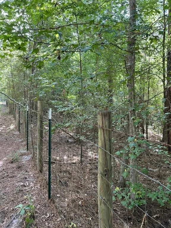 County Road 168-1 Long Branch, TX 75669