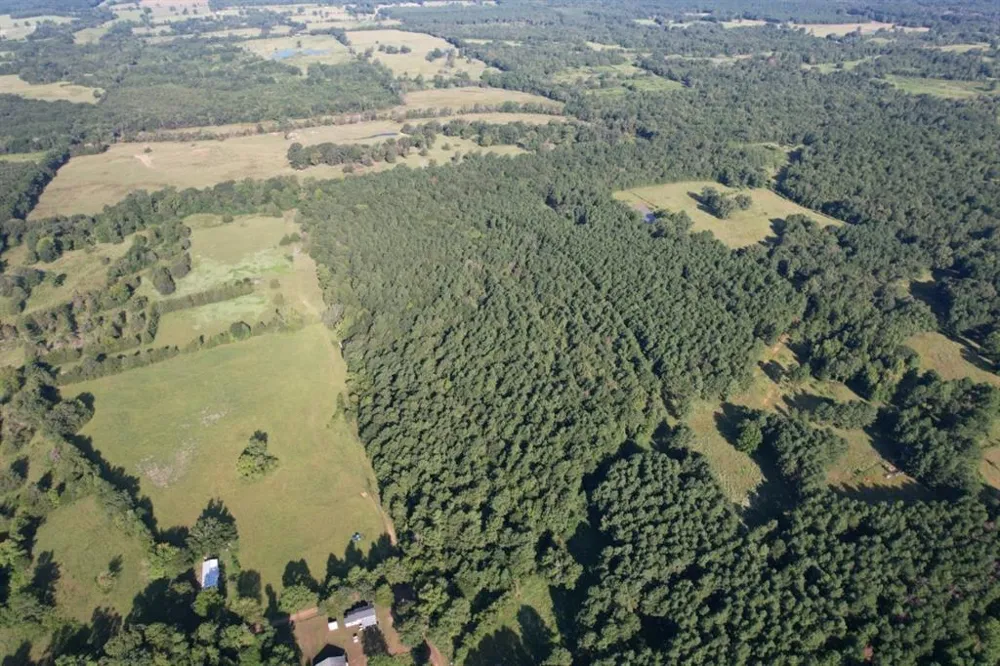 County Road 168-1 Long Branch, TX 75669