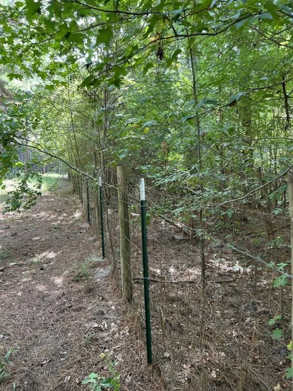 County Road 168-1 Long Branch, TX 75669