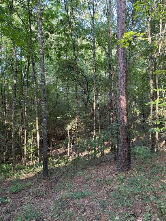 County Road 168-1 Long Branch, TX 75669