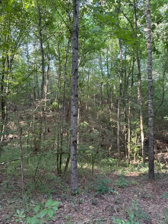 County Road 168-1 Long Branch, TX 75669