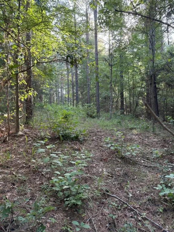 County Road 168-1 Long Branch, TX 75669