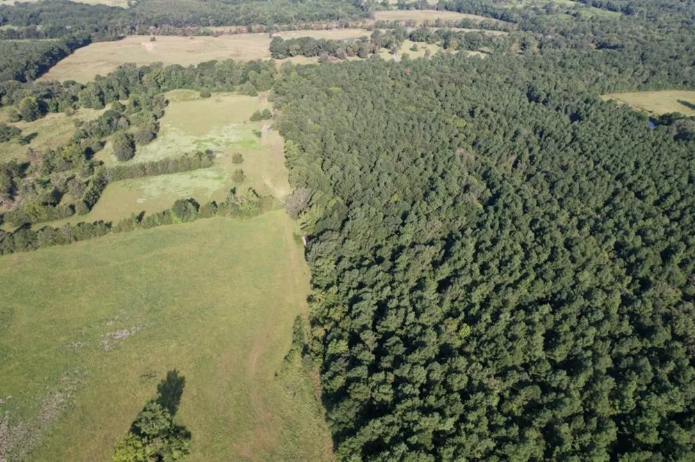 County Road 168-1 Long Branch, TX 75669