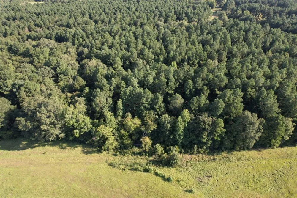 County Road 168-1 Long Branch, TX 75669
