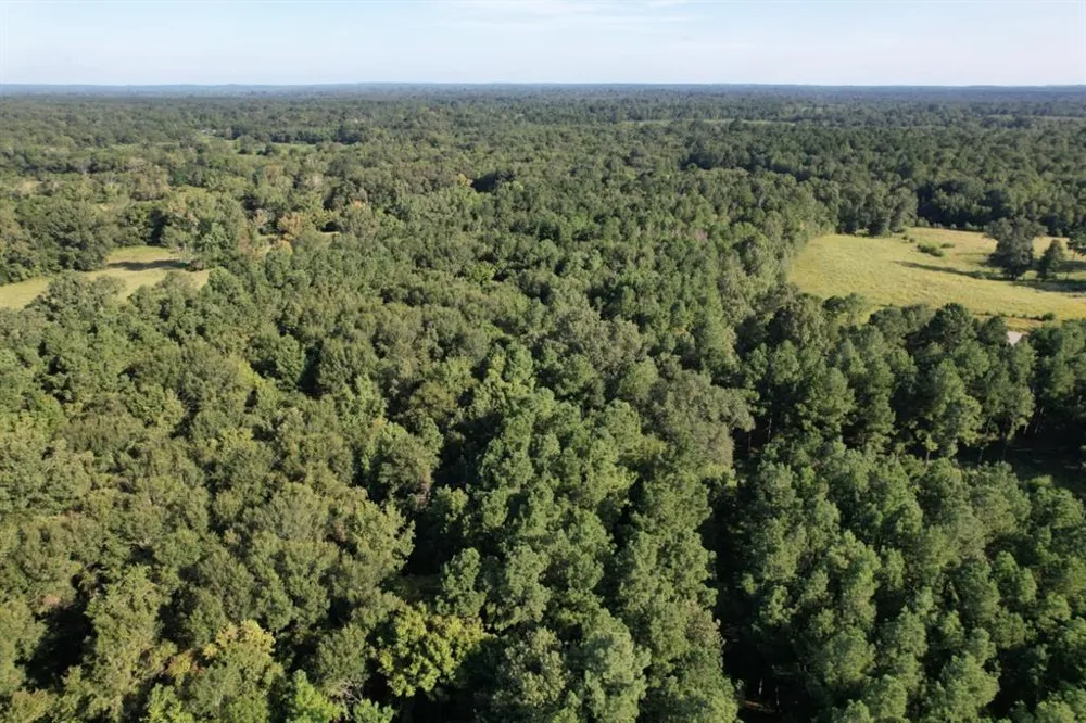 County Road 168-1 Long Branch, TX 75669