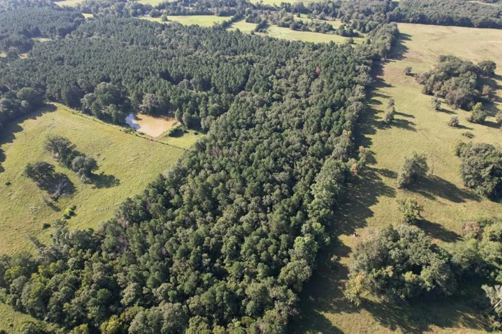 County Road 168-1 Long Branch, TX 75669
