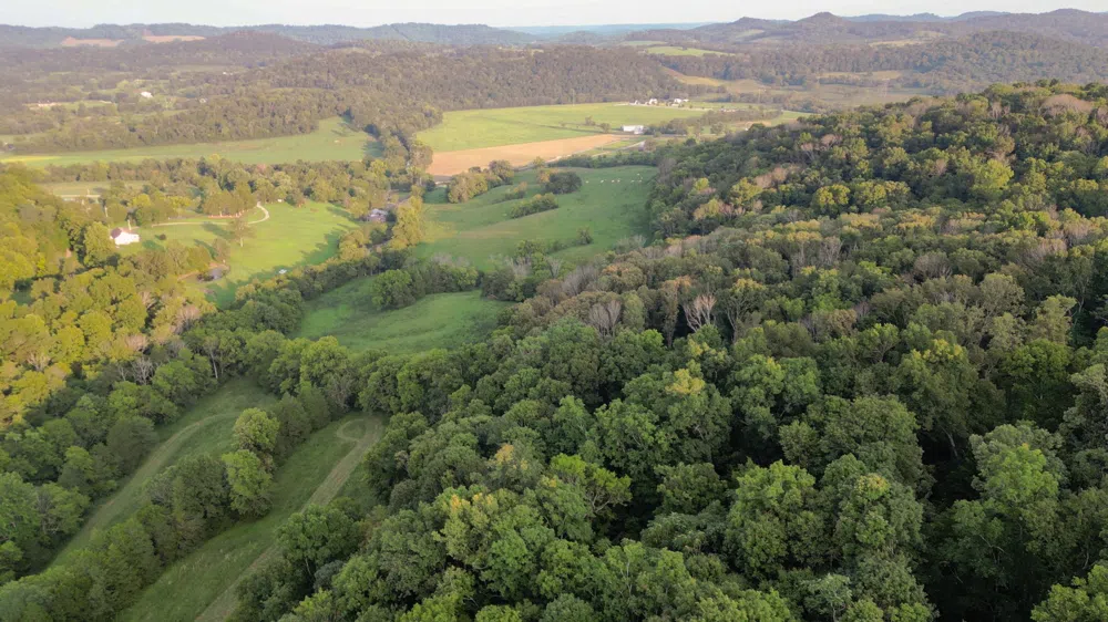 0 John Donald Lane Brush Creek, TN 38547