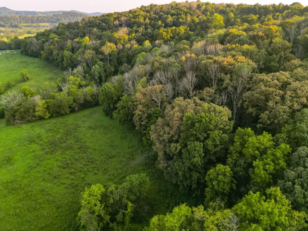 0 John Donald Lane Brush Creek, TN 38547