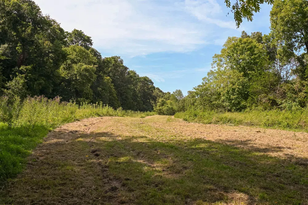 0 John Donald Lane Brush Creek, TN 38547
