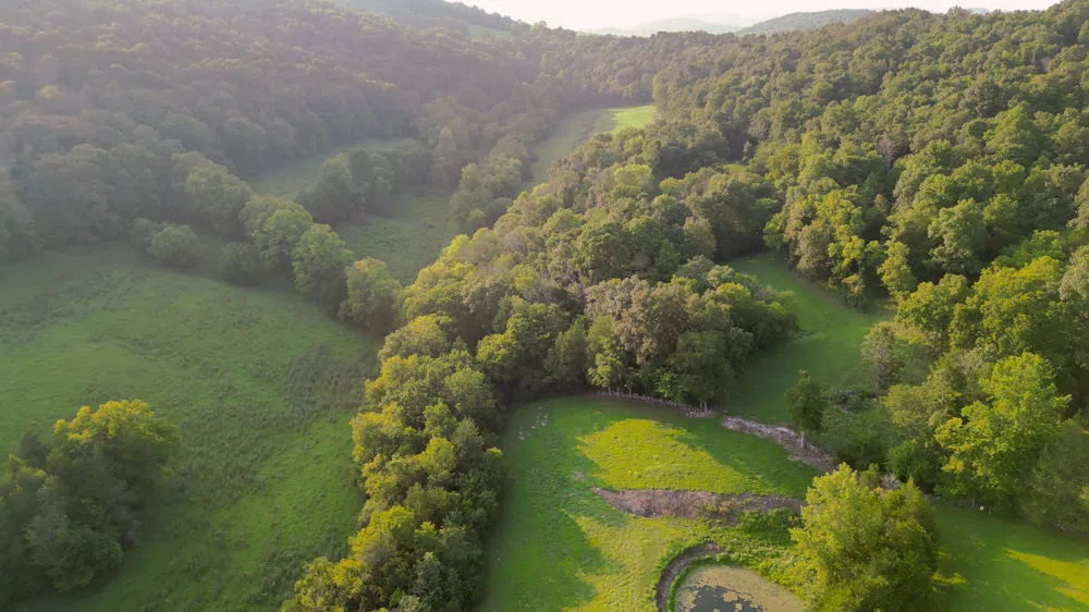 0 John Donald Lane Brush Creek, TN 38547