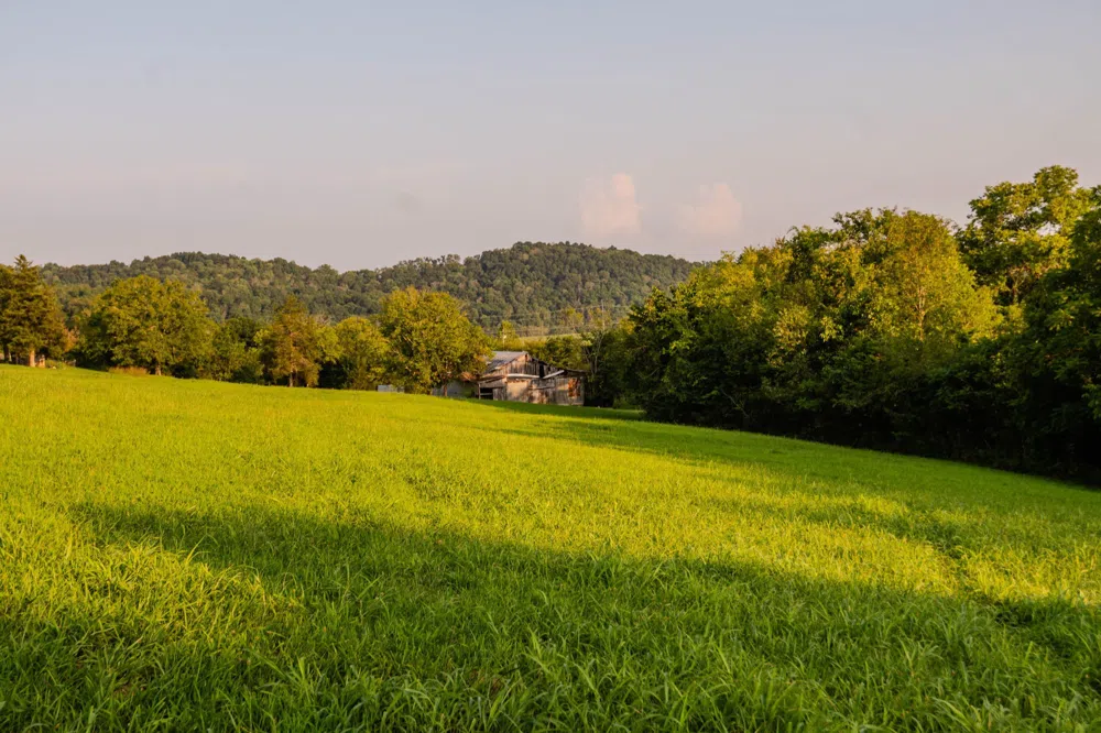 0 John Donald Lane Brush Creek, TN 38547