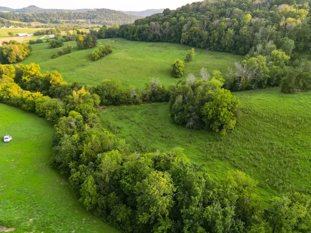 0 John Donald Lane Brush Creek, TN 38547
