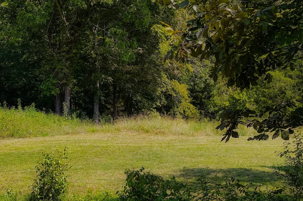 0 John Donald Lane Brush Creek, TN 38547