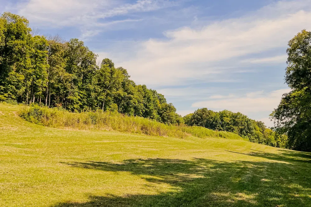0 John Donald Lane Brush Creek, TN 38547