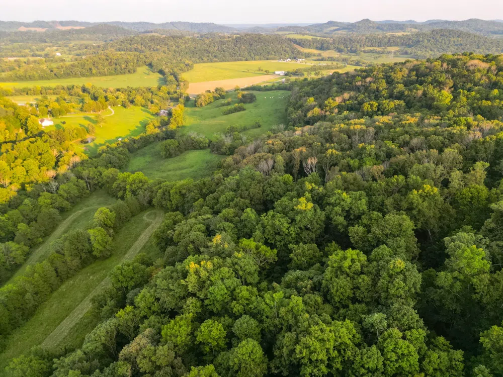 0 John Donald Lane Brush Creek, TN 38547