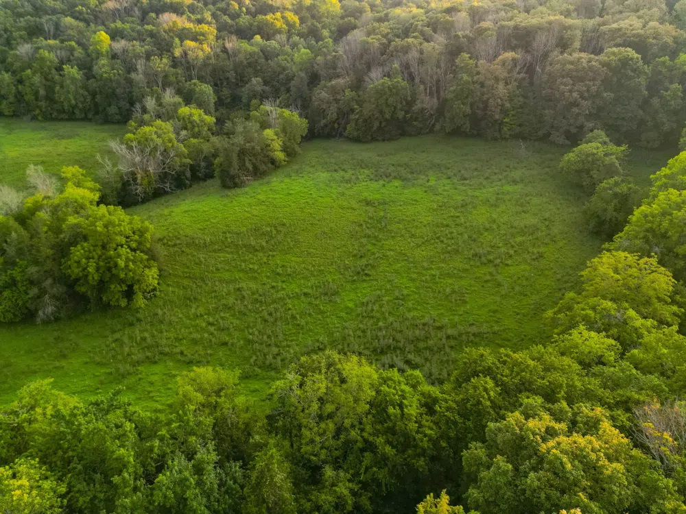 0 John Donald Lane Brush Creek, TN 38547