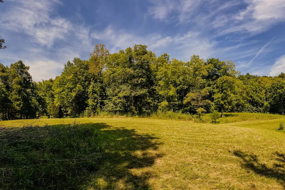 0 John Donald Lane Brush Creek, TN 38547