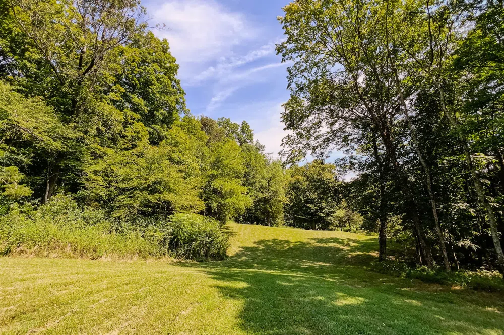 0 John Donald Lane Brush Creek, TN 38547