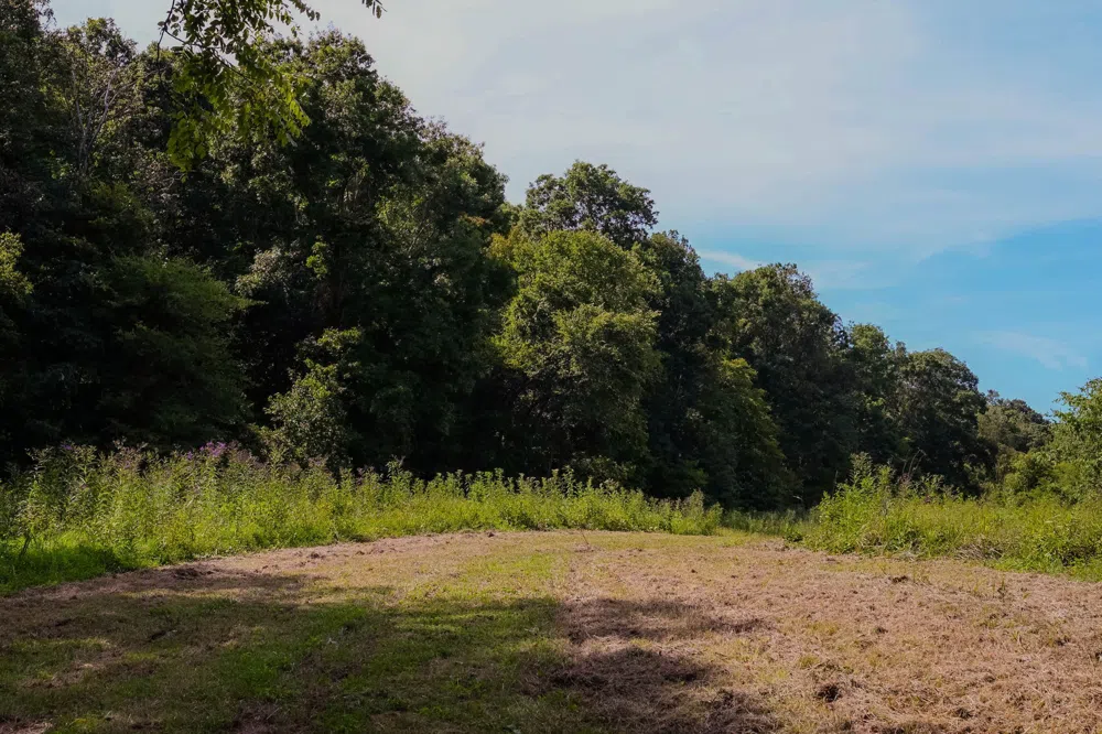 0 John Donald Lane Brush Creek, TN 38547