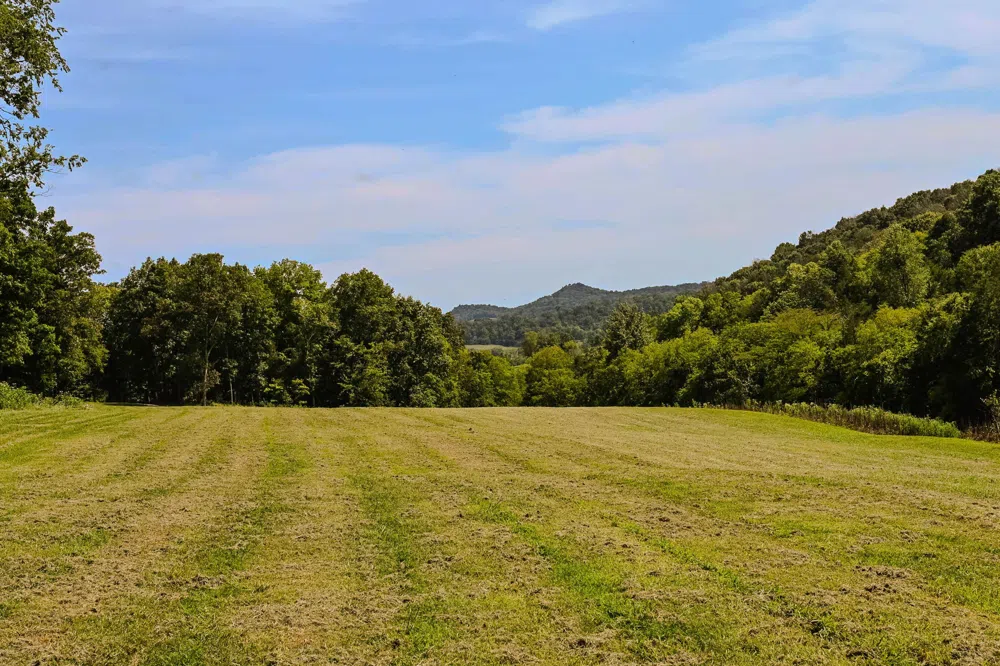 0 John Donald Lane Brush Creek, TN 38547
