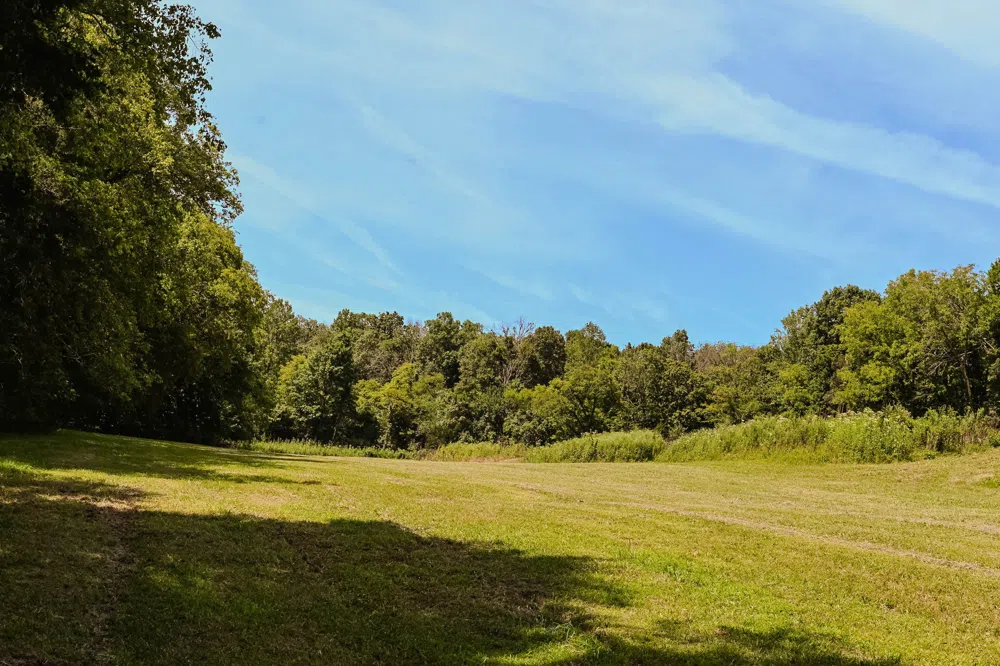 0 John Donald Lane Brush Creek, TN 38547