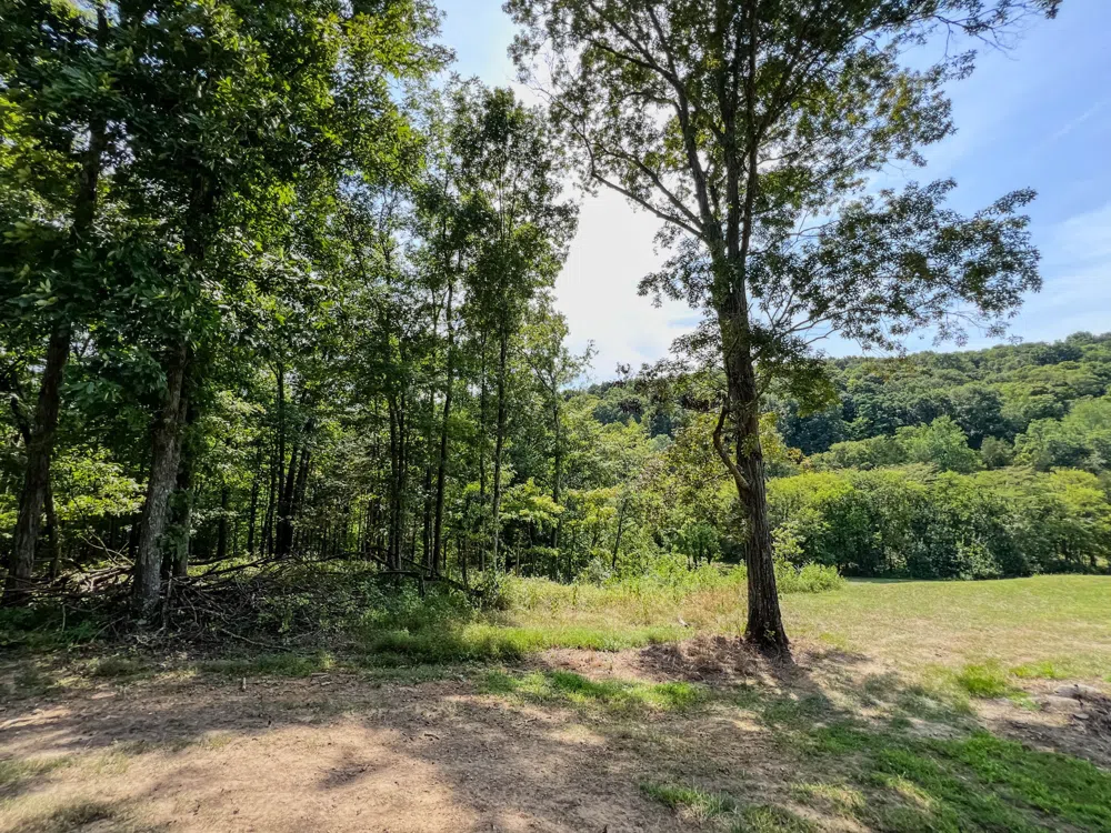 0 John Donald Lane Brush Creek, TN 38547