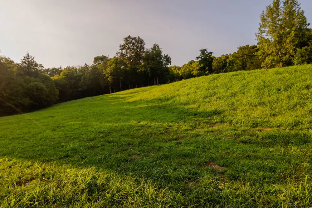 0 John Donald Lane Brush Creek, TN 38547