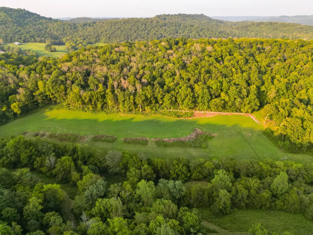 0 John Donald Lane Brush Creek, TN 38547