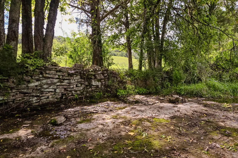 0 John Donald Lane Brush Creek, TN 38547