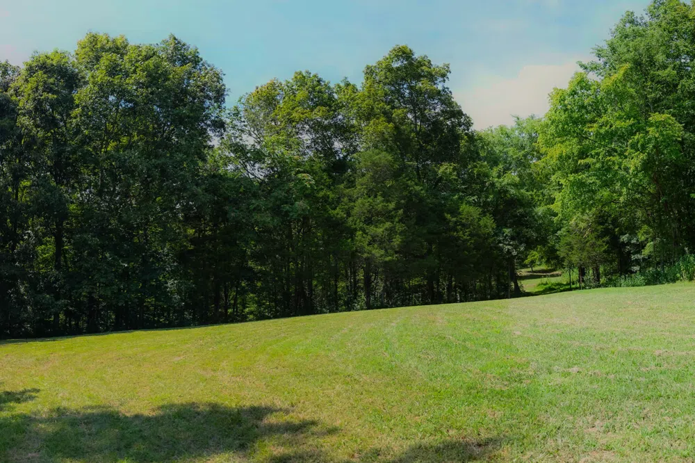 0 John Donald Lane Brush Creek, TN 38547
