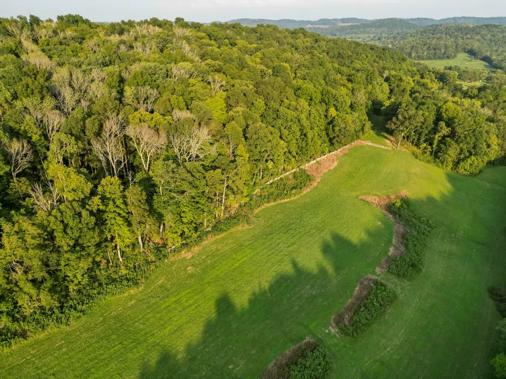 0 John Donald Lane Brush Creek, TN 38547