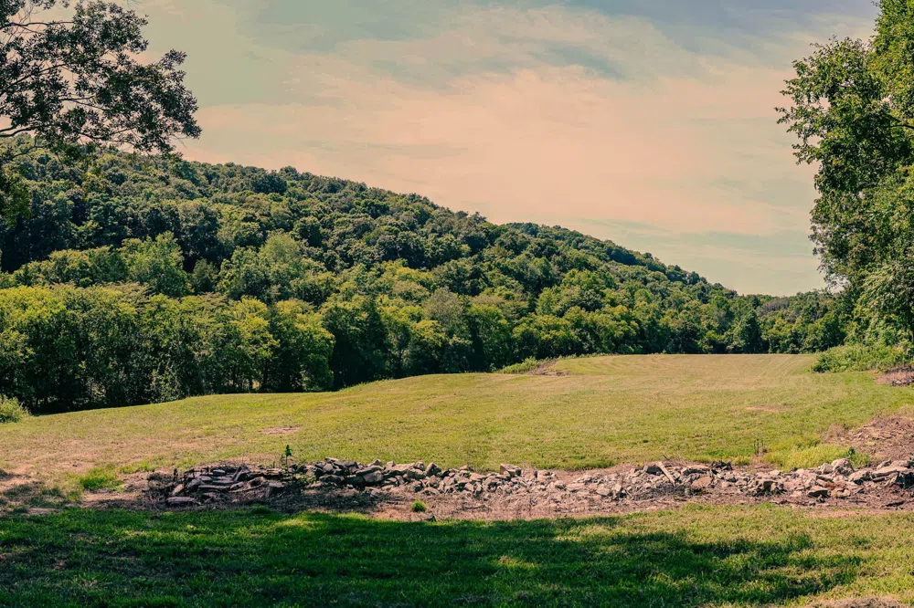 0 John Donald Lane Brush Creek, TN 38547