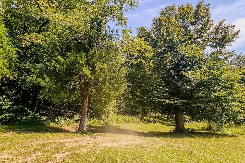 0 John Donald Lane Brush Creek, TN 38547