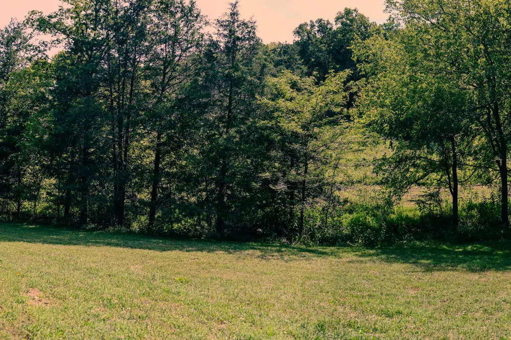 0 John Donald Lane Brush Creek, TN 38547