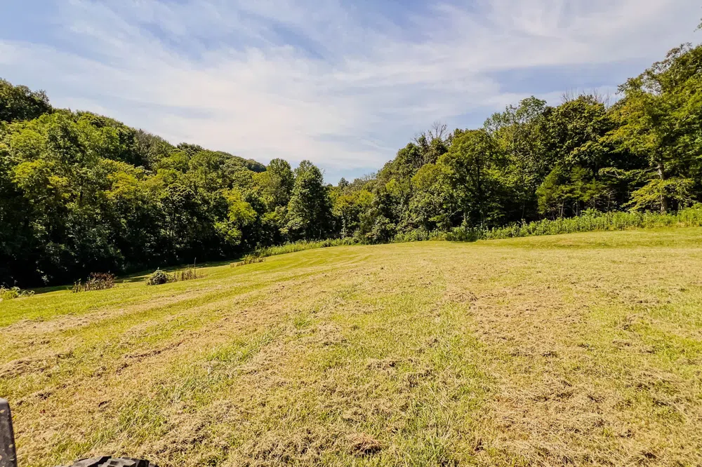 0 John Donald Lane Brush Creek, TN 38547
