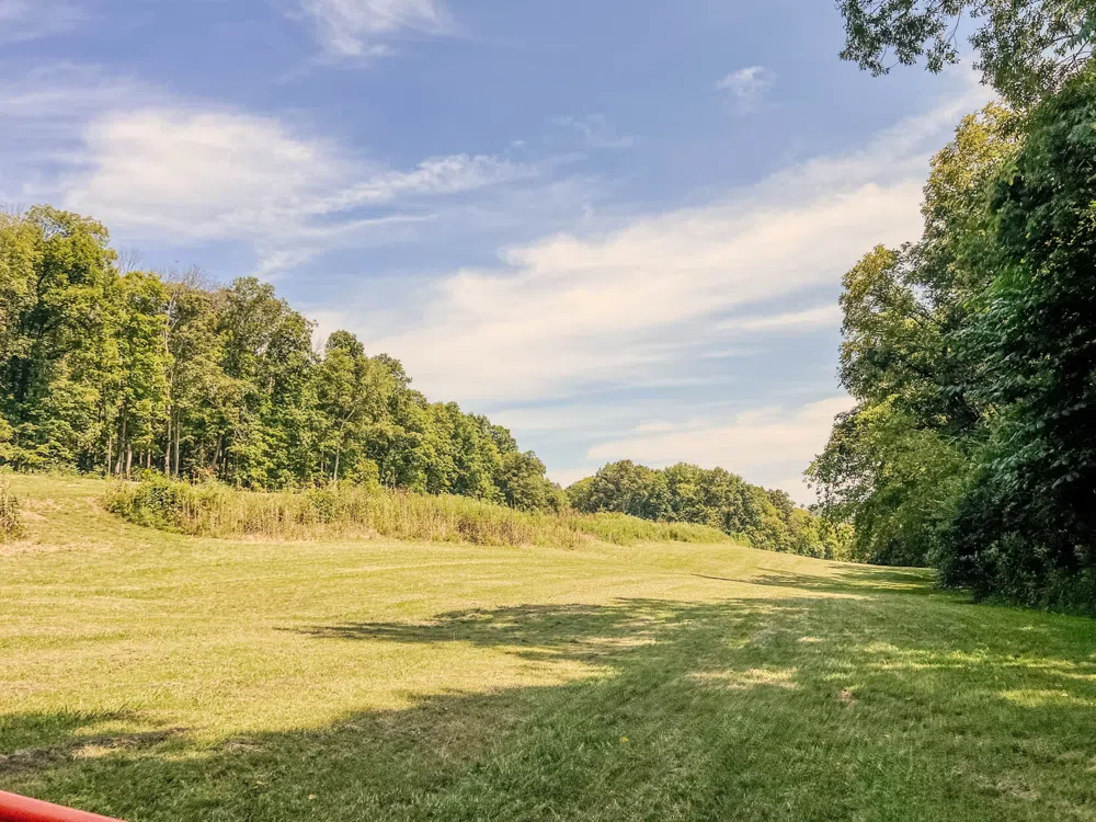 0 John Donald Lane Brush Creek, TN 38547