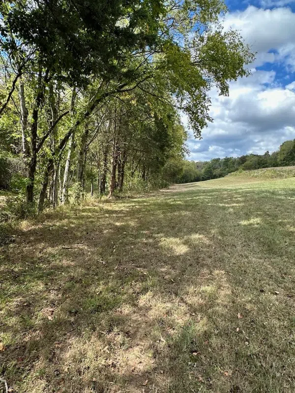 0 John Donald Lane Brush Creek, TN 38547