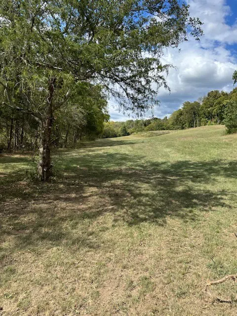 0 John Donald Lane Brush Creek, TN 38547