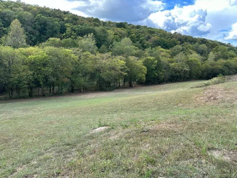 0 John Donald Lane Brush Creek, TN 38547
