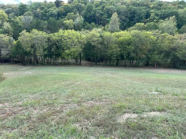 0 John Donald Lane Brush Creek, TN 38547