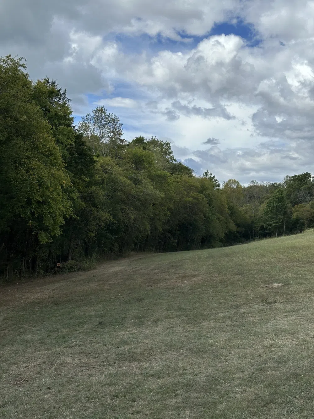 0 John Donald Lane Brush Creek, TN 38547