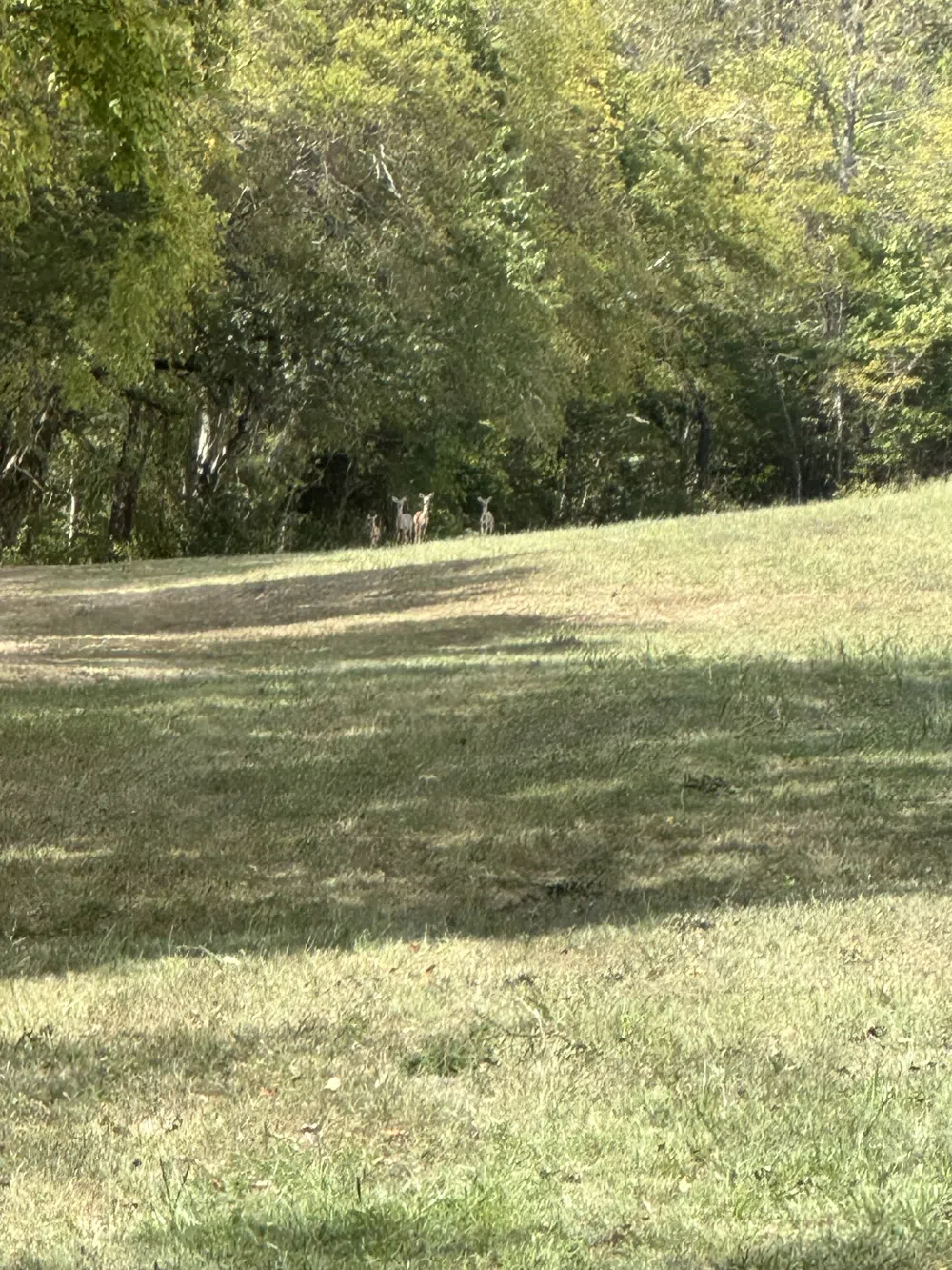 0 John Donald Lane Brush Creek, TN 38547