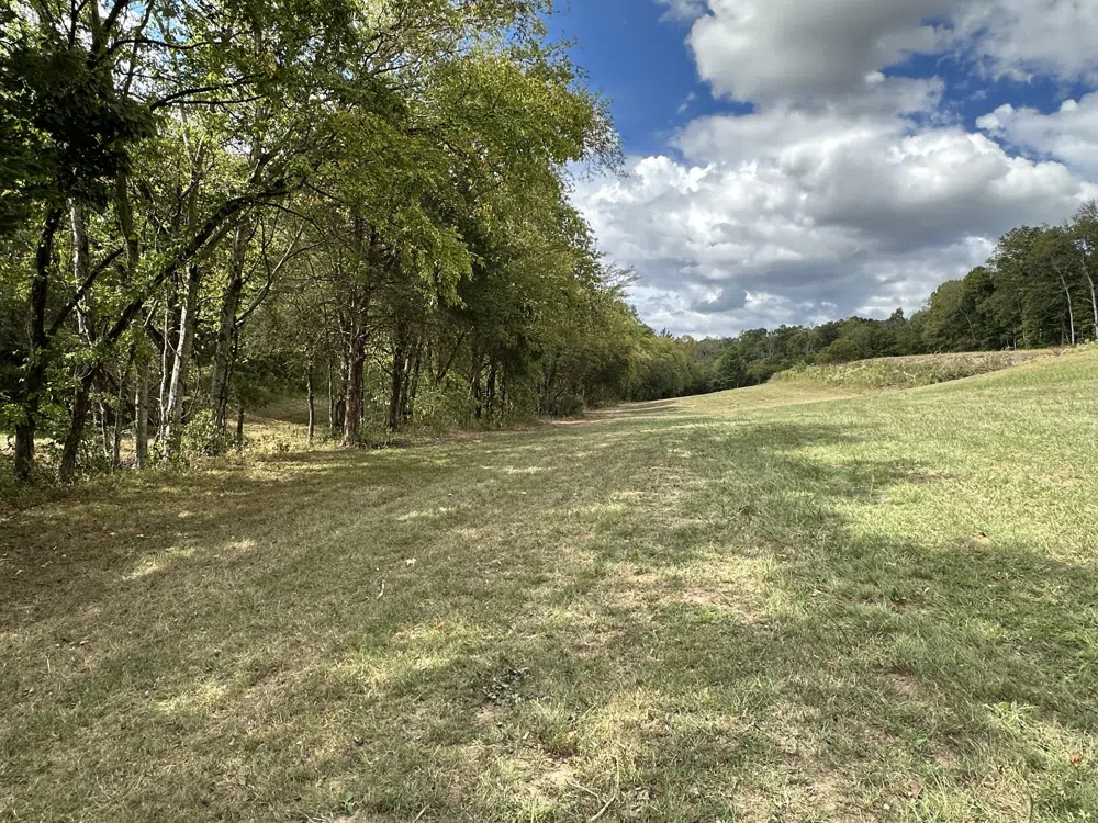 0 John Donald Lane Brush Creek, TN 38547