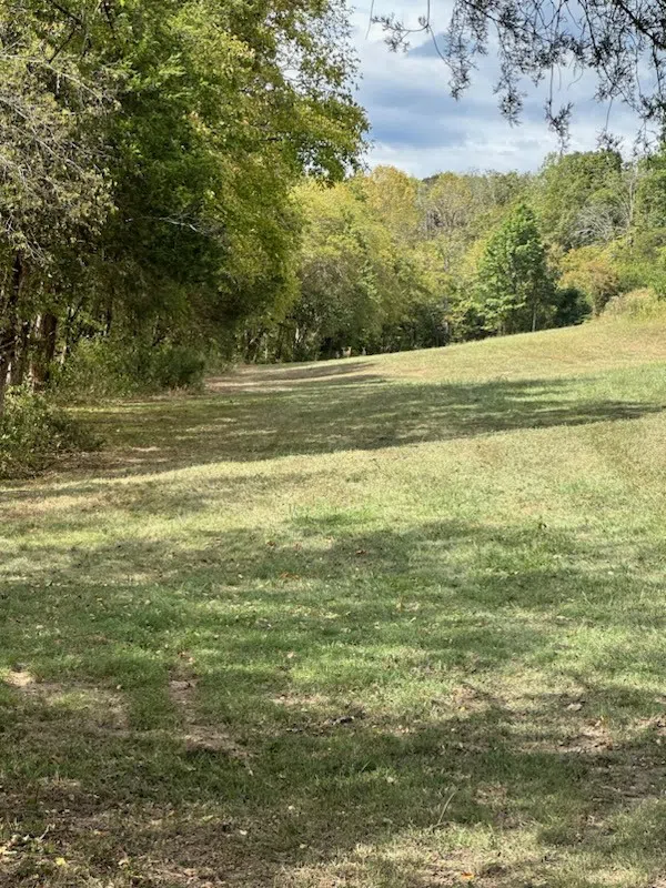 0 John Donald Lane Brush Creek, TN 38547